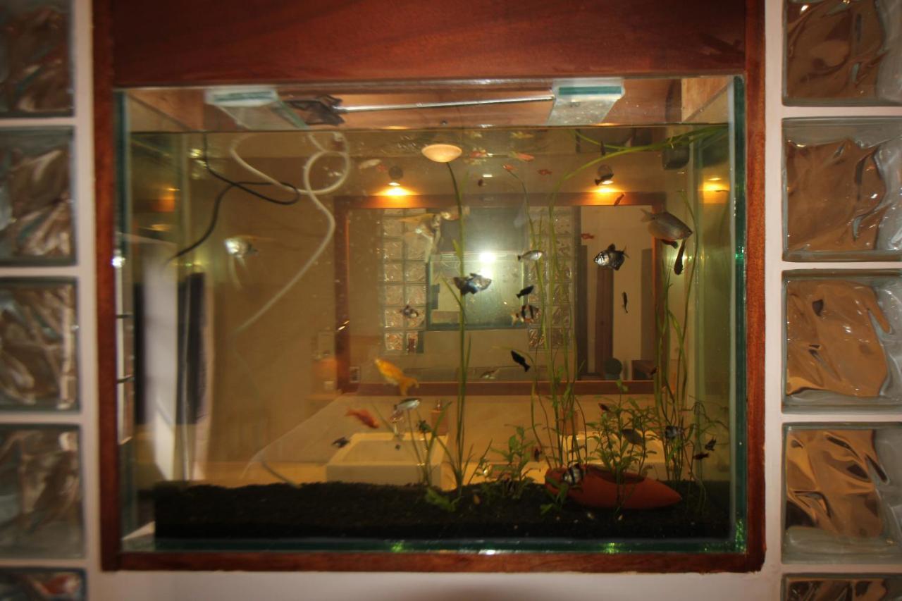 Pensjonat Casa Evora - Luxury And Front *